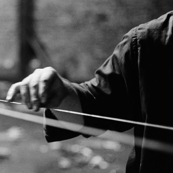 Terry Fox - Linkage LP