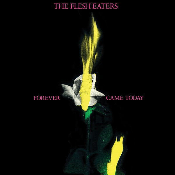 The Flesh Eaters - Forever Came Today CD