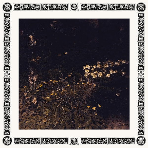 Sarah Davachi - Pale Bloom CD